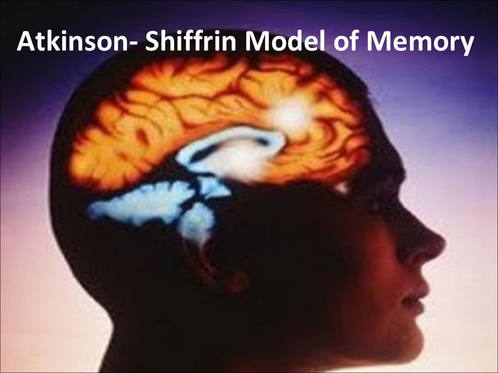 Atkinson Shiffrin Model Of Memory
