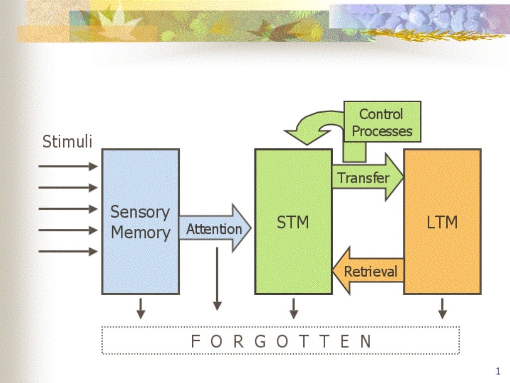 1. Atkinson- Shiffrin model of memory - Atkinson Shiffrin Model Of Memory