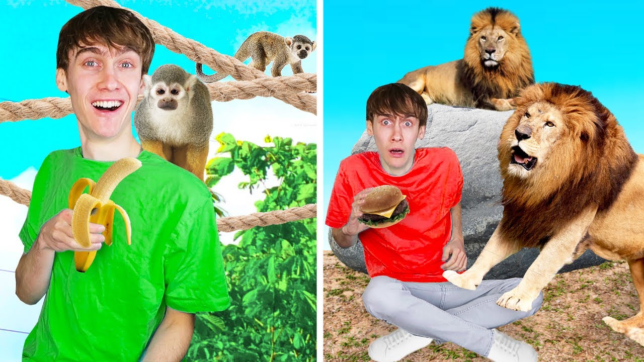 1 Dag Werken In De Dierentuin - YouTube - Een Dag In De Dierentuin Berlijn