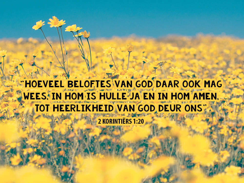 10 Beloftes Van God