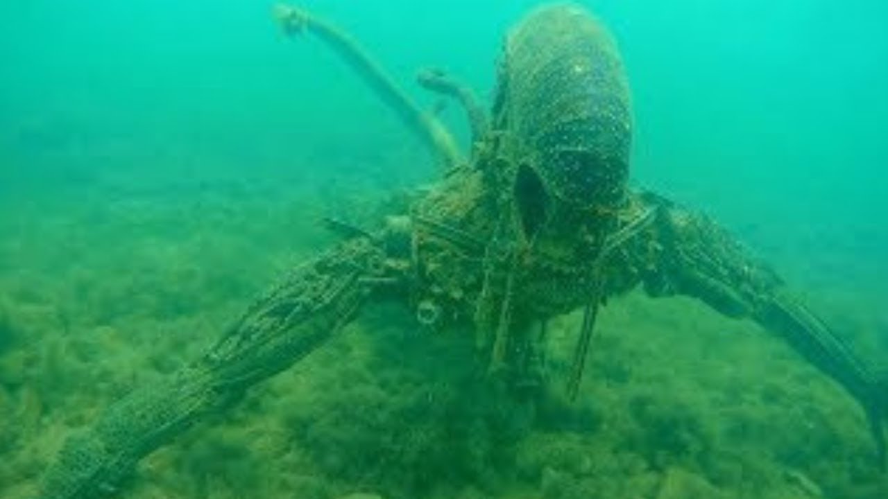 10 Meest Angstaanjagende Dingen Gevonden in de Diepe Zee! - YouTube - Diepe Inzinking In De Zeebodem