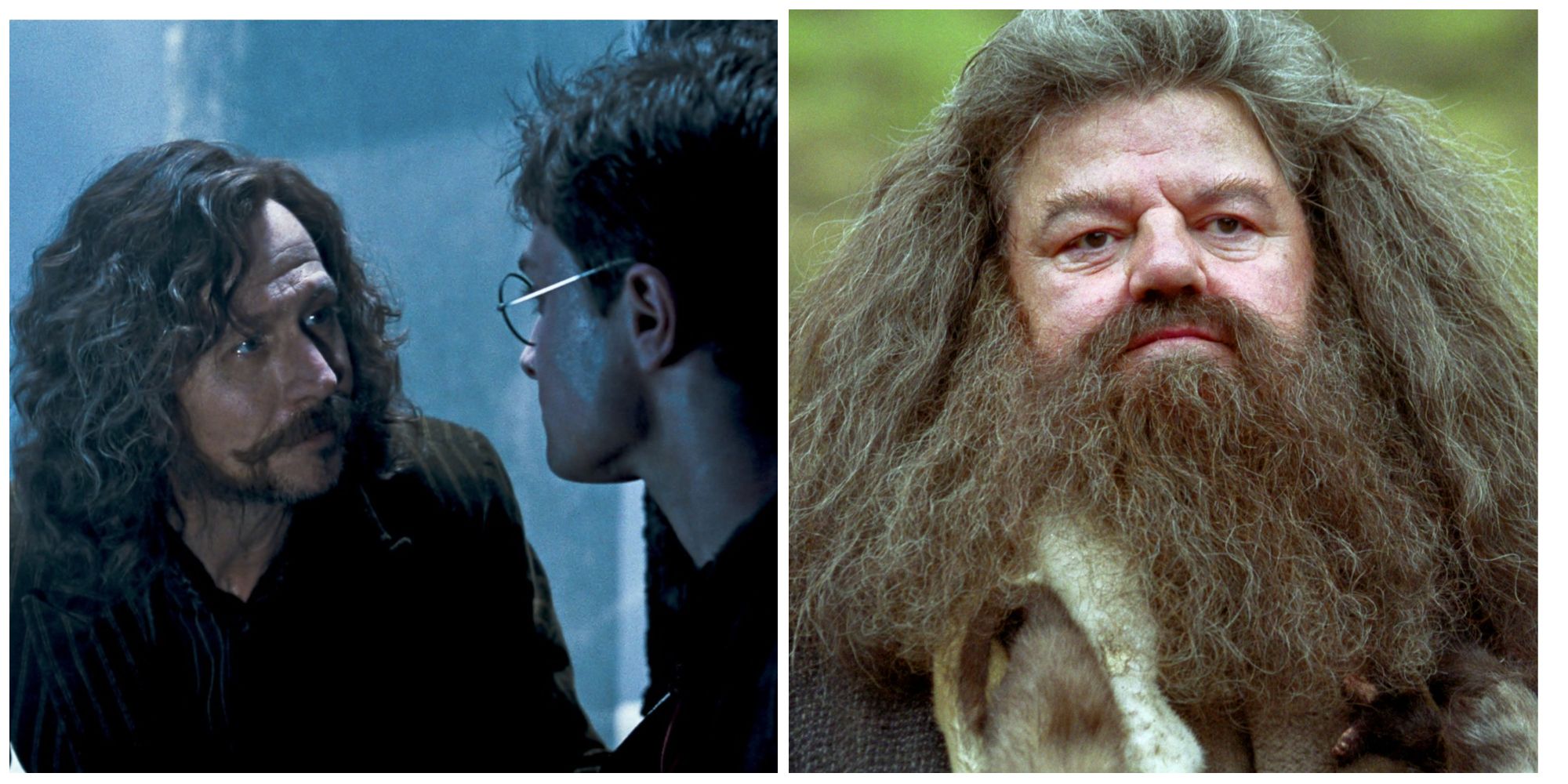 10 Unluckiest Harry Potter Characters - Top 10 Meest Populaire Harry Potter Personages