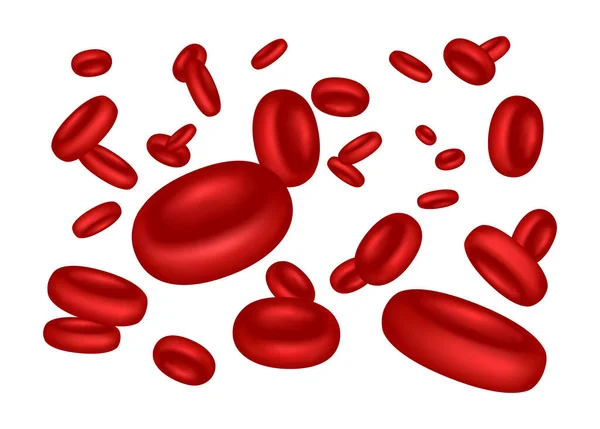 100,000 Erythrozyten Vector Images | Depositphotos - Dysmorfe Erytrocyten Wat Is Dat