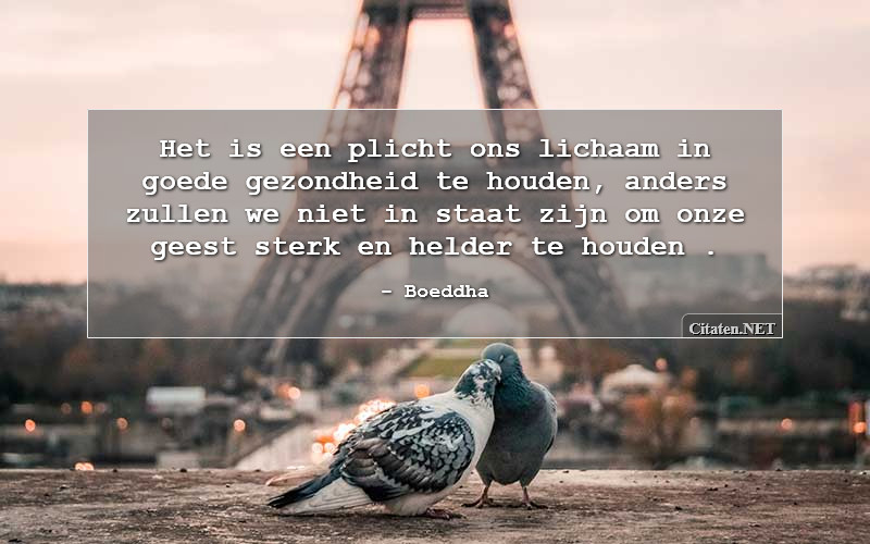 105 Citaten met gezondheid: Citaten, quotes, uitspraken en wijsheden - Niet Helder Van Geest
