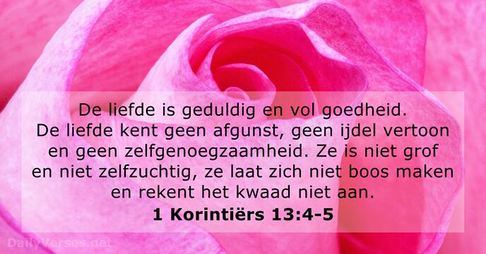 Liefde In De Bijbel