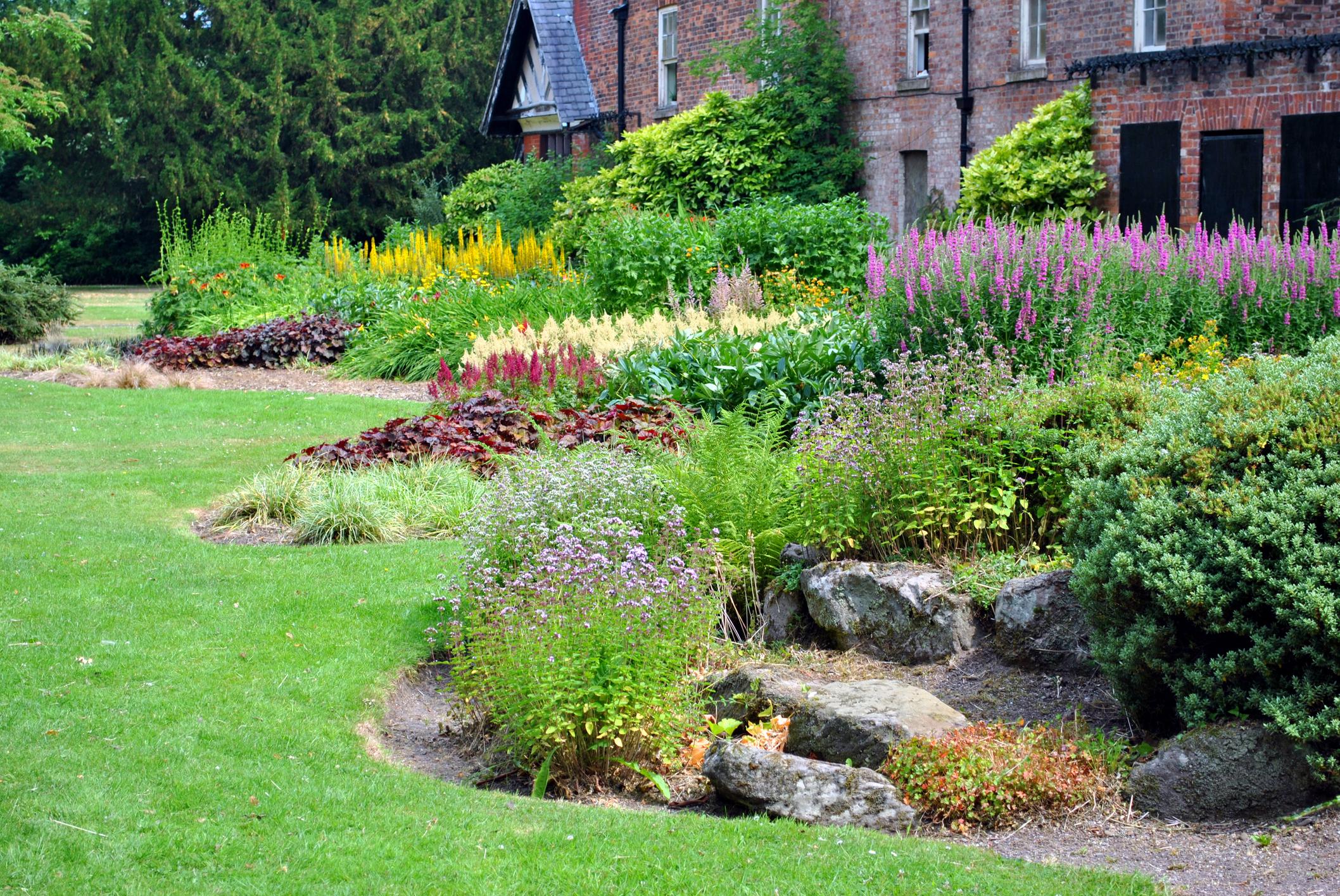 10x kleurrijke vaste planten die lang bloeien - Libelle - Planten Namen Van A Tot Z