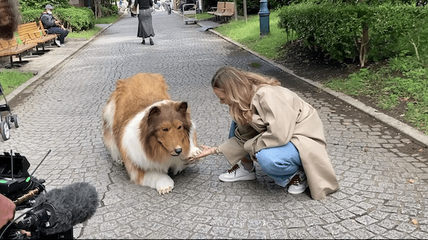 14K Realistic Dog Suit takes to the streets - Mensen Die Zich Identificeren Als Kat