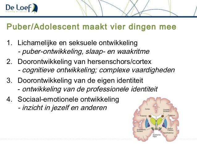 Kenmerken Van Een Puber