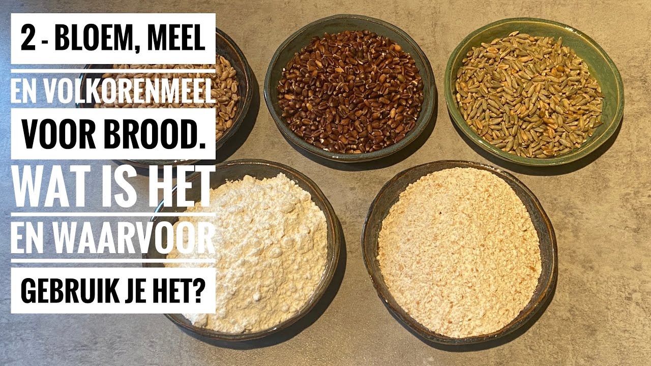 2 - Bloem, meel en volkorenmeel voor brood. Wat is het en waarvoor - Hoeveel Gram Vezels In Volkoren Brood