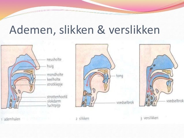 2 mh t1_bs45 - Pijn Bij Slikken In Slokdarm