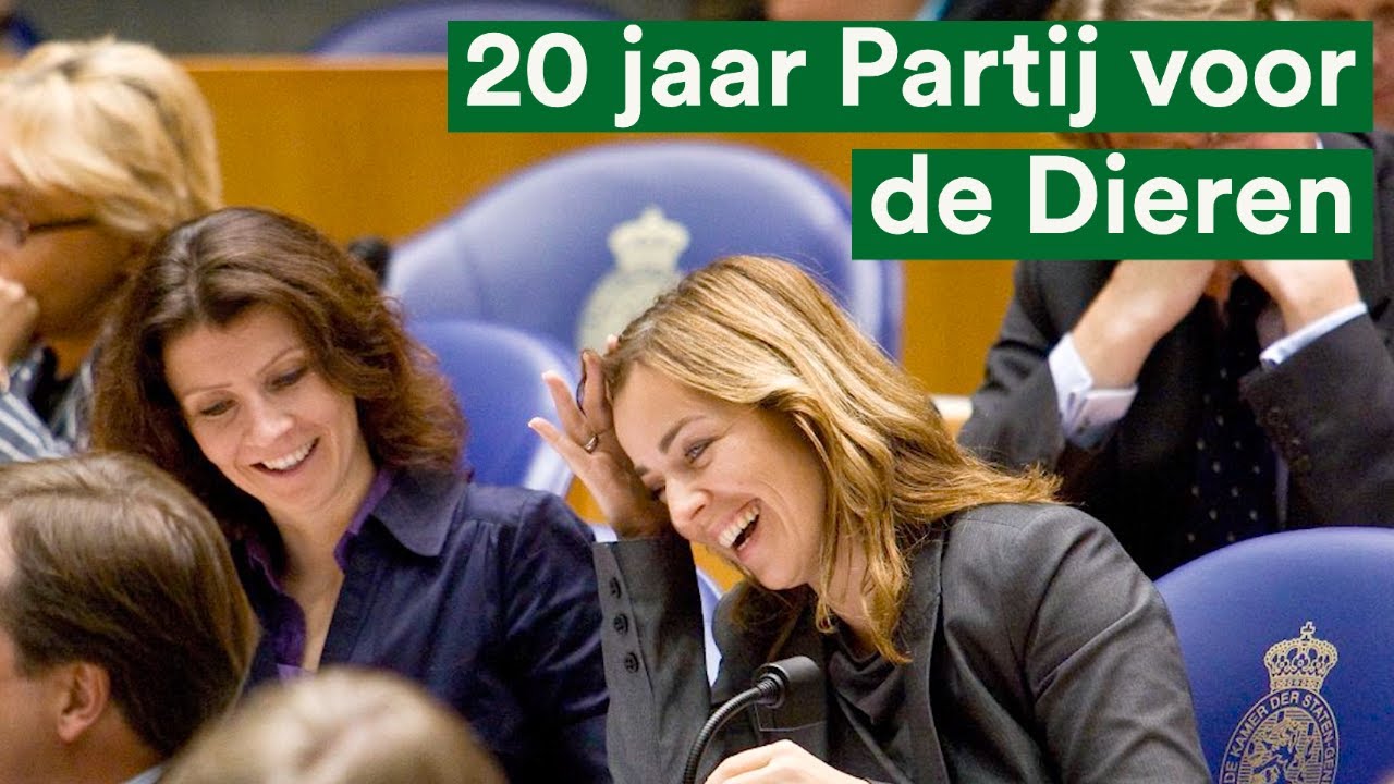 20 jaar Partij voor de Dieren: veel bereikt en nog veel te doen! - YouTube - Partij Voor De Dieren Zetels 2023