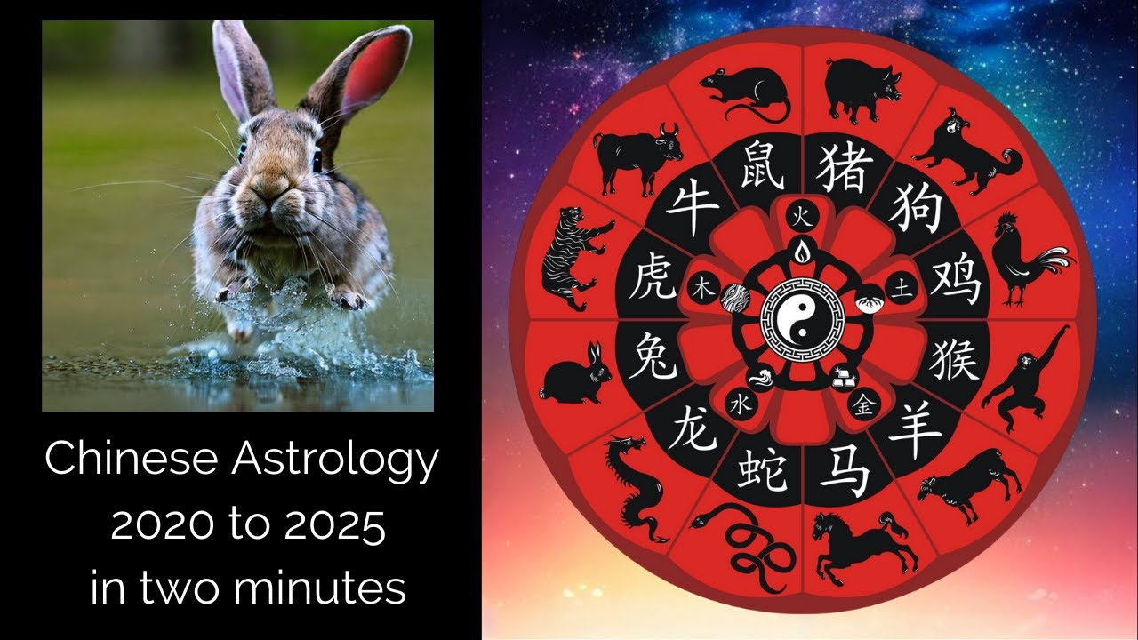 Jaar Van Het Konijn Chinese Astrologie