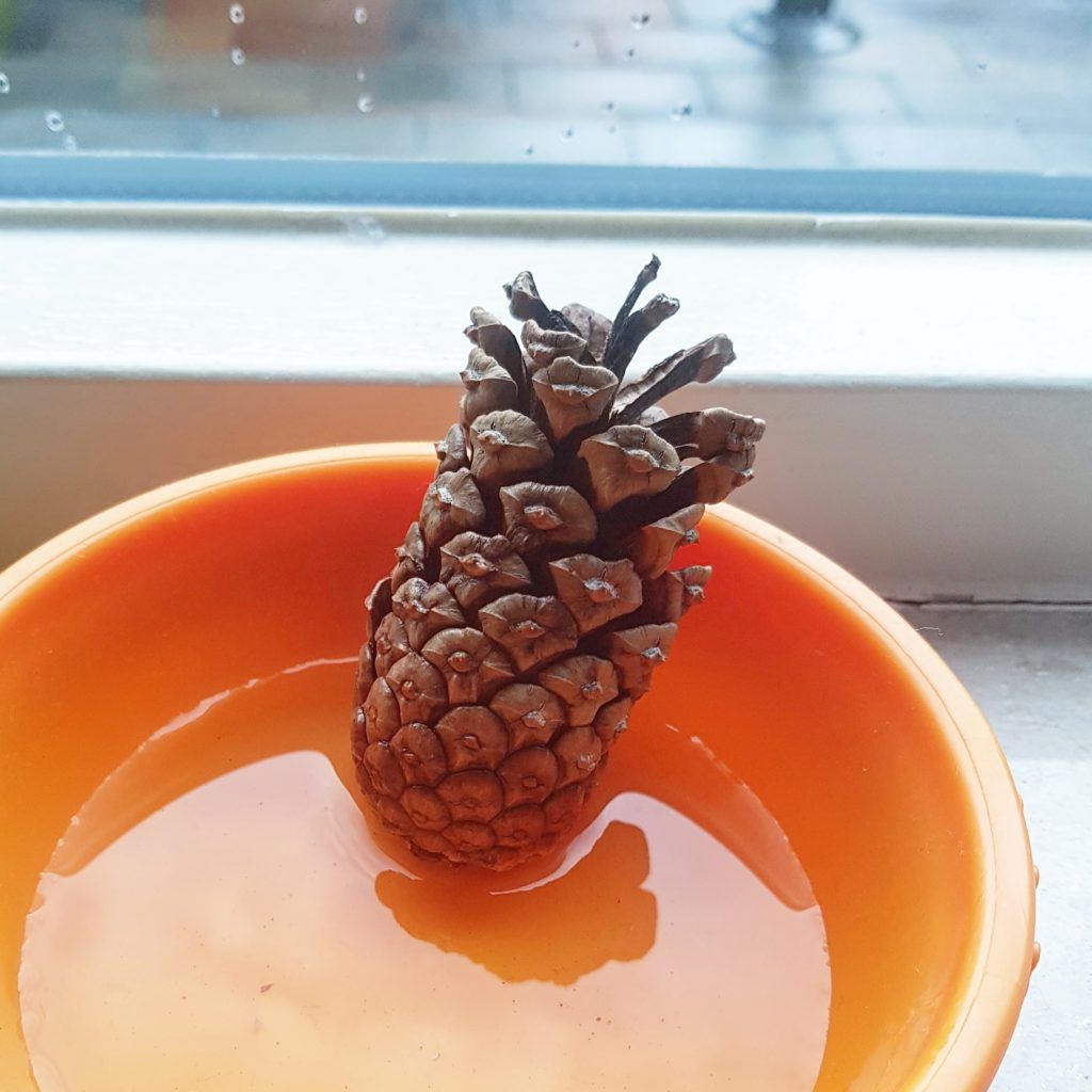 25 proefjes - Klas van juf Linda | Biology for kids, Kid experiments - Leuke Proefjes Voor In De Klas