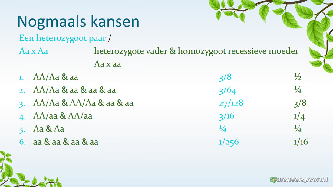 Antwoorden Biologie Voor Jou Vwo 4 Thema 3 Genetica
