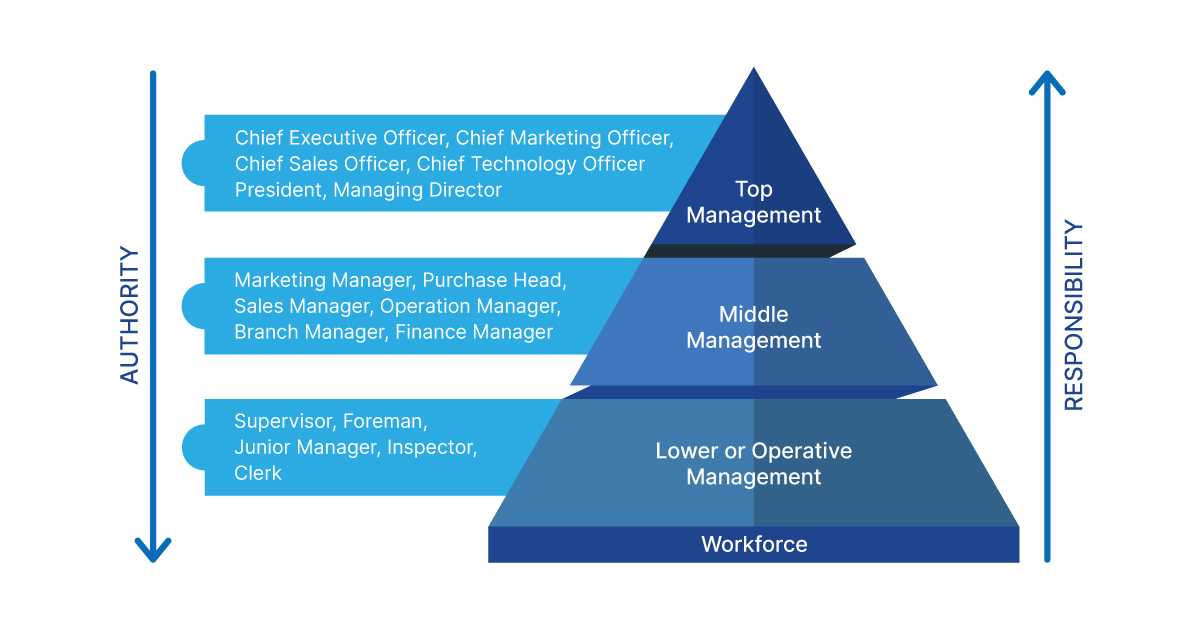 3 Levels of Management Explained - Shiksha Online - Management Opleiding Hbo 1 Jaar