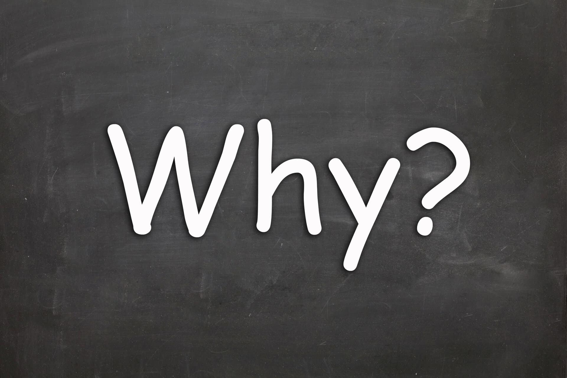 3 Steps Profit Framework yang Memberikan Dampak ke Income Anda - Why Zebras Don't Have Ulcers
