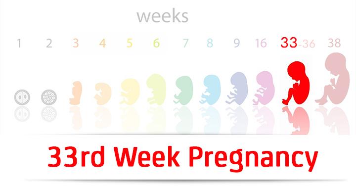 33rd Week Pregnancy: Symptoms, Baby Development And Bodily Changes - Welke Week Is Week 33