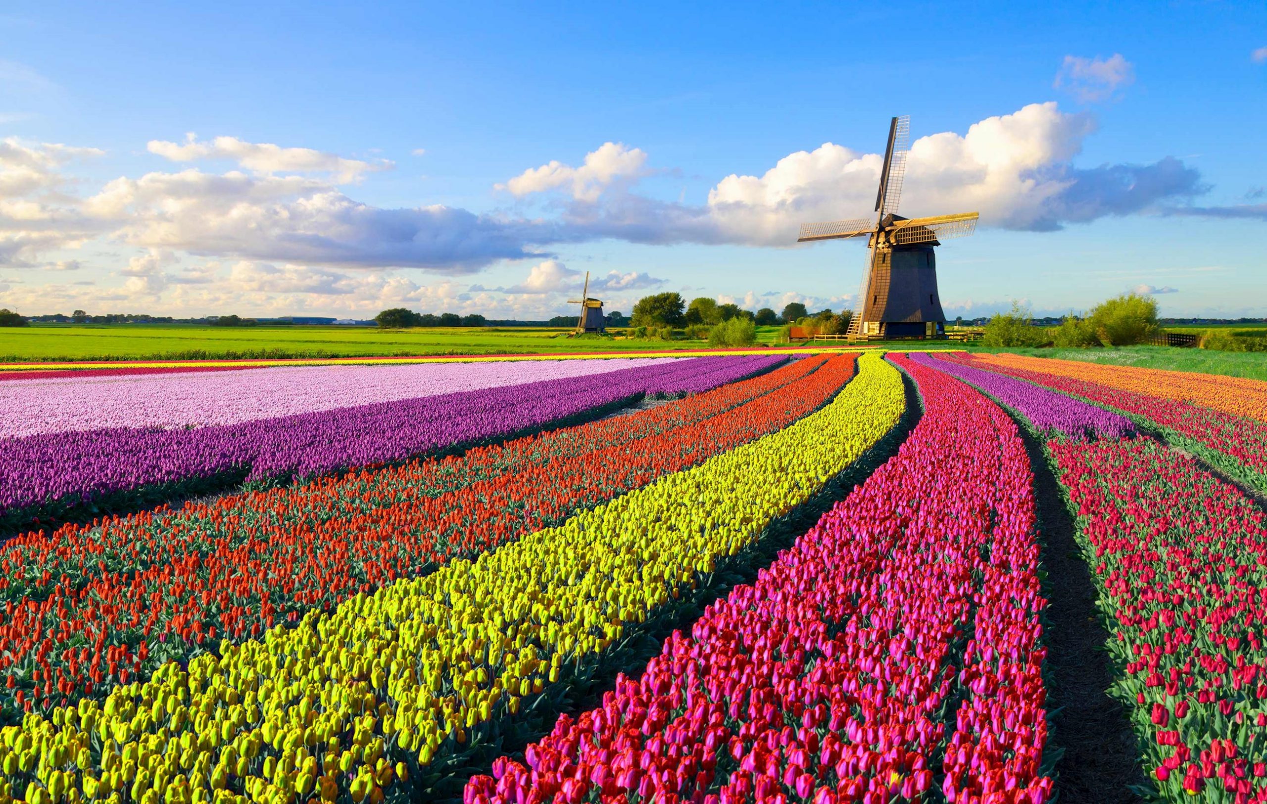 35 interessante Fakten über Holland (Niederlande) ᐈ MillionenFakten - Holland And Barrett Gratis Verzending