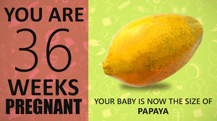 Welke Week Is Week 36