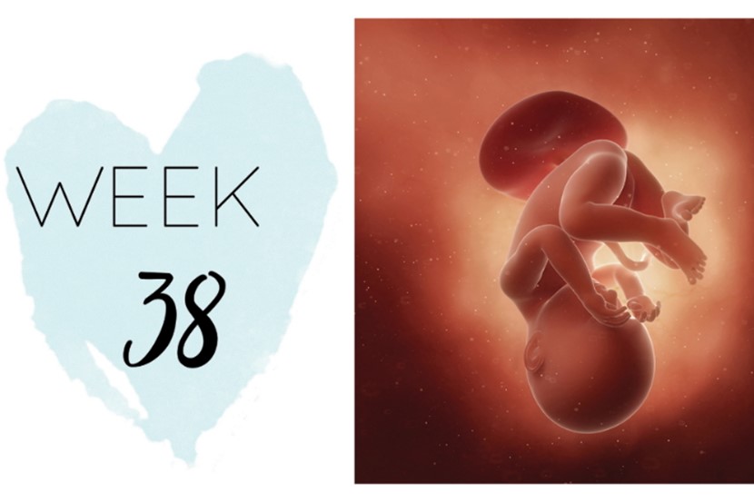 Welke Week Is Week 38