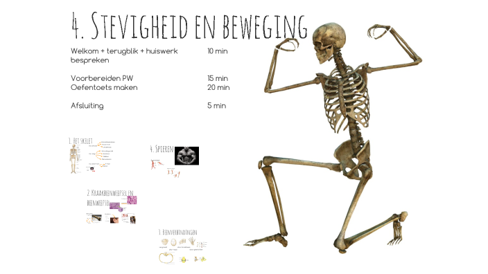 3B Stevigheid en beweging by Sanne Lenoir on Prezi - Geven Stevigheid En Zorgen Voor Transport