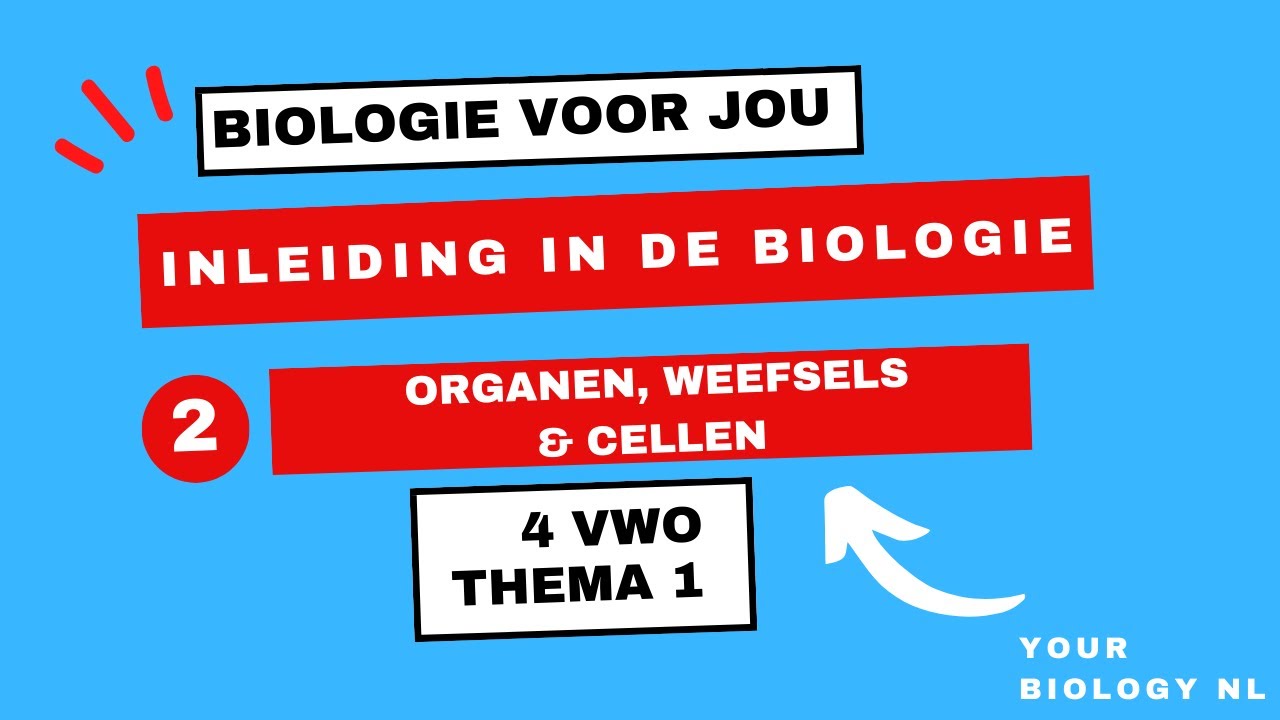 4 vwo | Inleiding in de biologie | 2 | Organen, weefsels & cellen - YouTube - Biologie Voor Jou Antwoorden Vwo 2