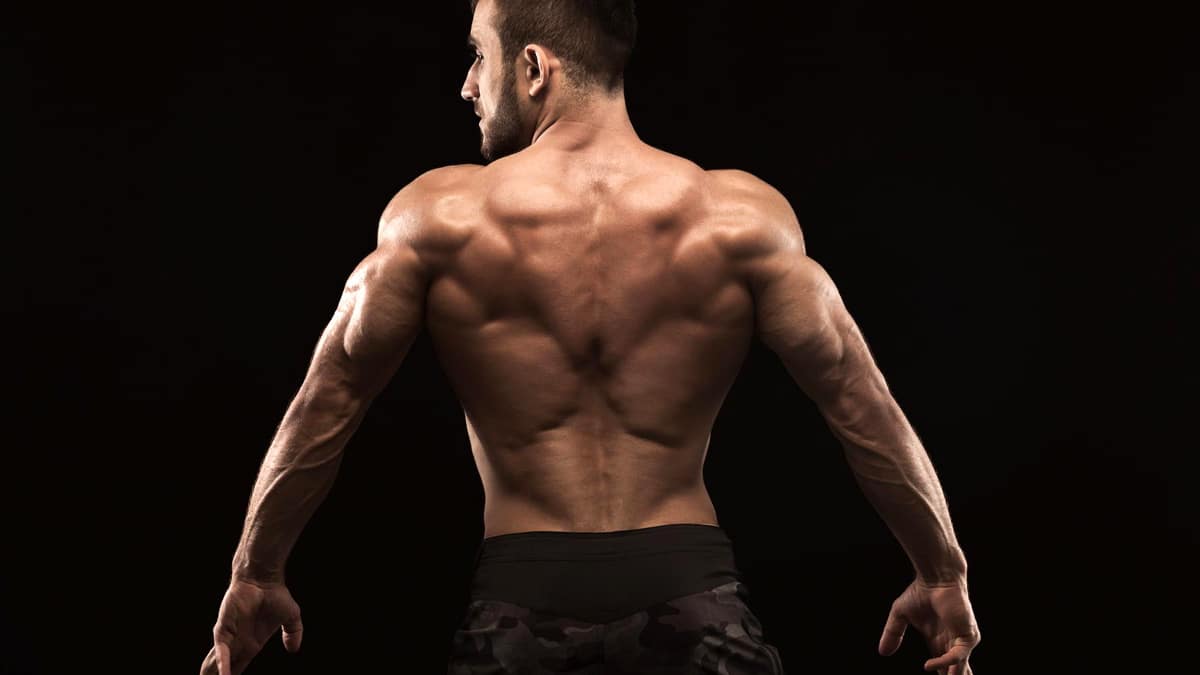5 Best Lower Lat Exercises for a Thick Back – Fitness Volt - Lower Chest And Upper Chest
