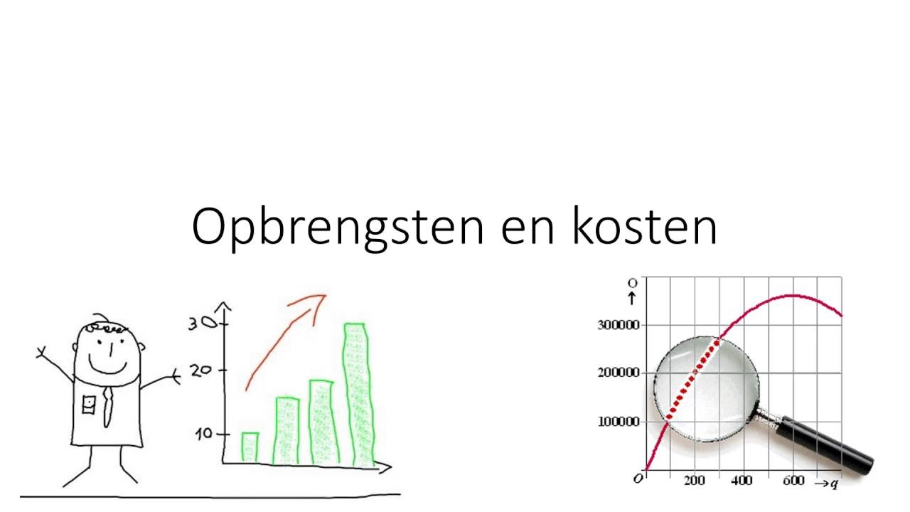Opbrengsten Uit Leveringen En Diensten