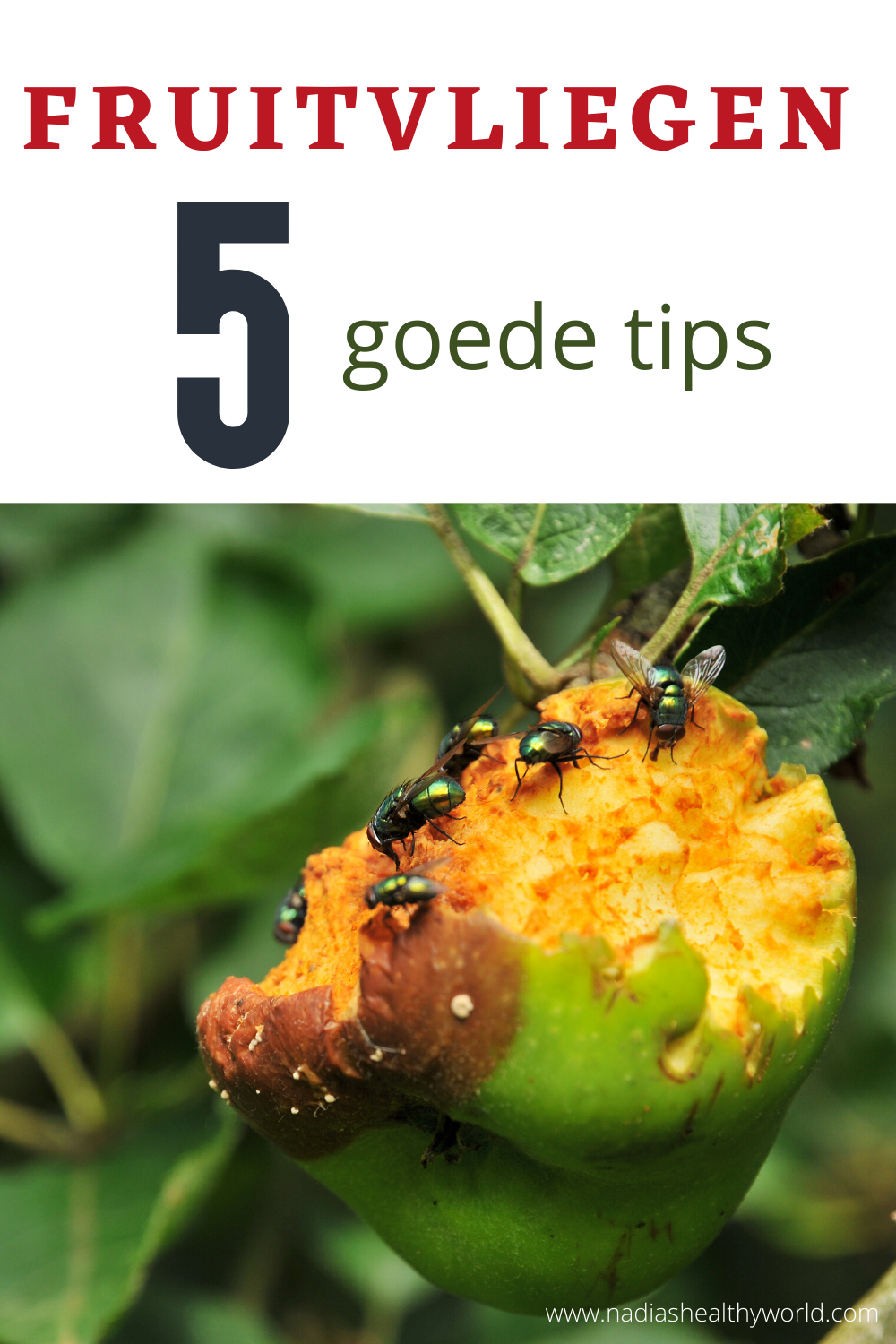 Hoe Lang Leven Fruitvliegjes Zonder Eten