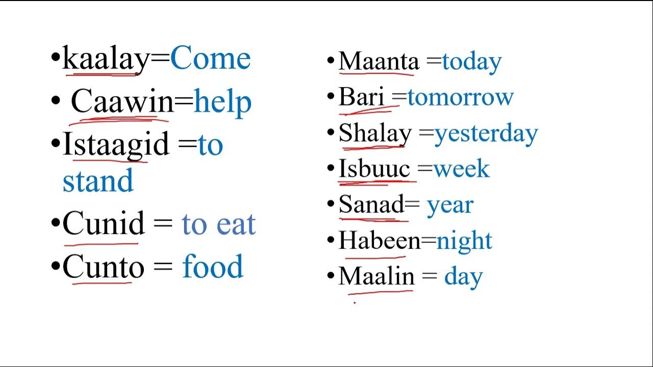 50 basic somali words [ Somalia language learning - YouTube - Welke Taal Spreken Ze In Somalie