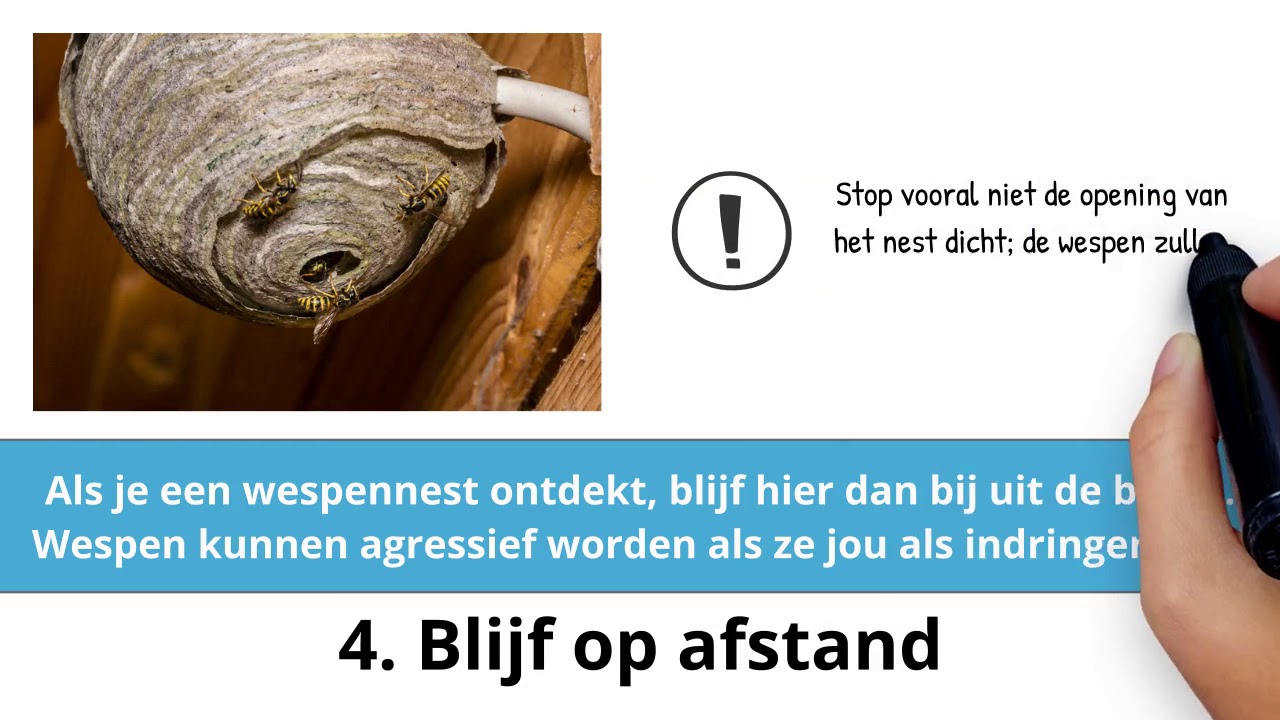 6 tips tegen wespen - YouTube - Kunnen Wespen Meerdere Keren Steken