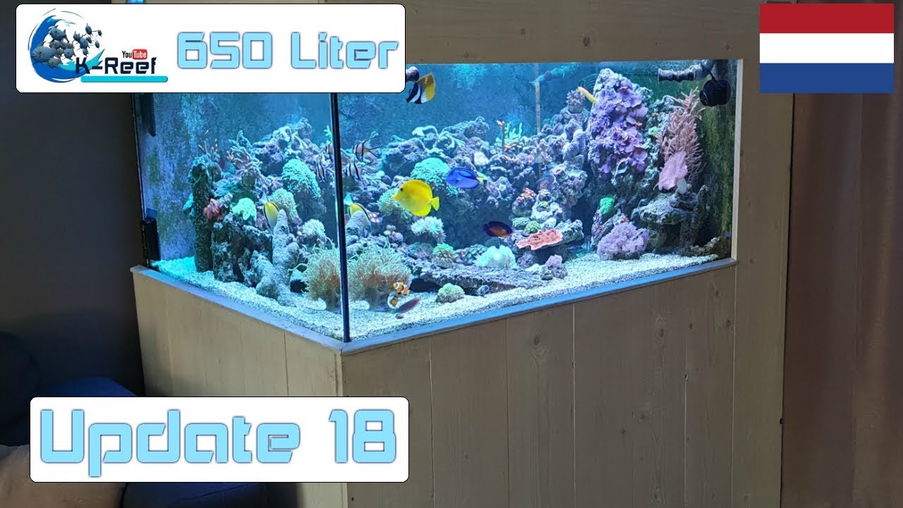 650 liter Zoutwater aquarium /Zeewater aquarium Update 18 - YouTube - Hoeveel Liter Zit Er In Een Zwembad