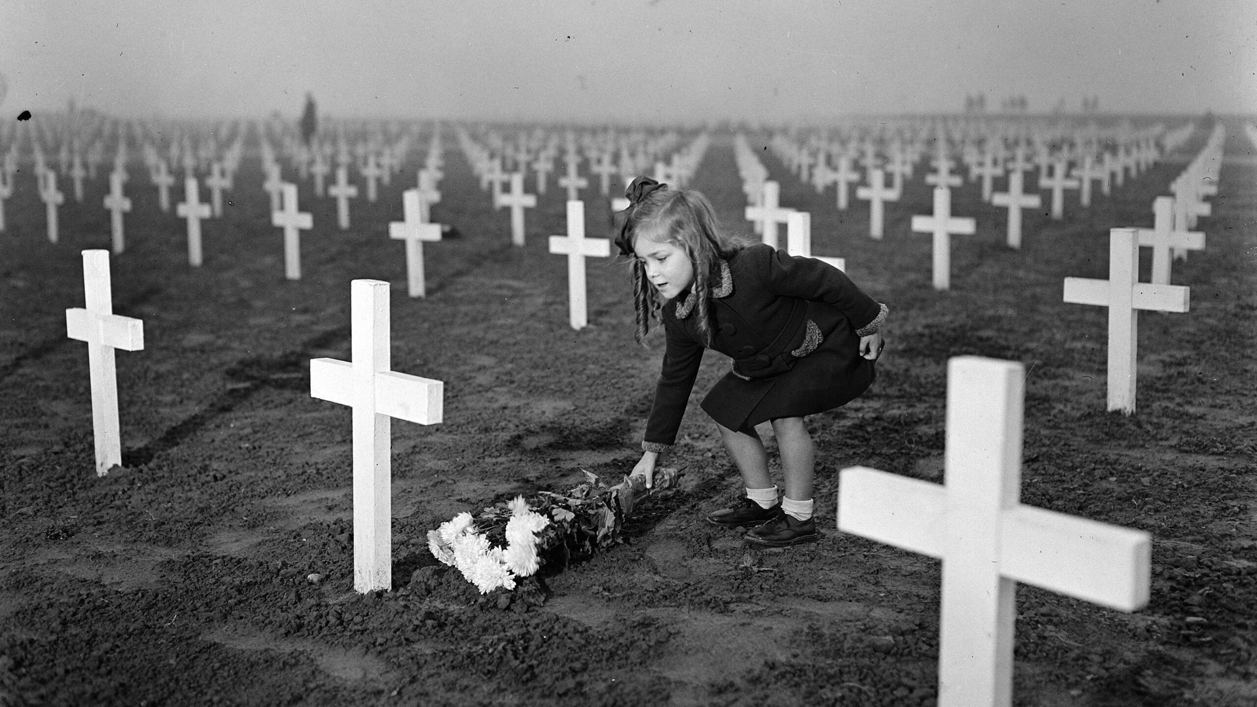 75 jaar bevrijding | Strijd, honger en vernietiging: de tol van de - Hoeveel Mensen Overleden Tweede Wereldoorlog