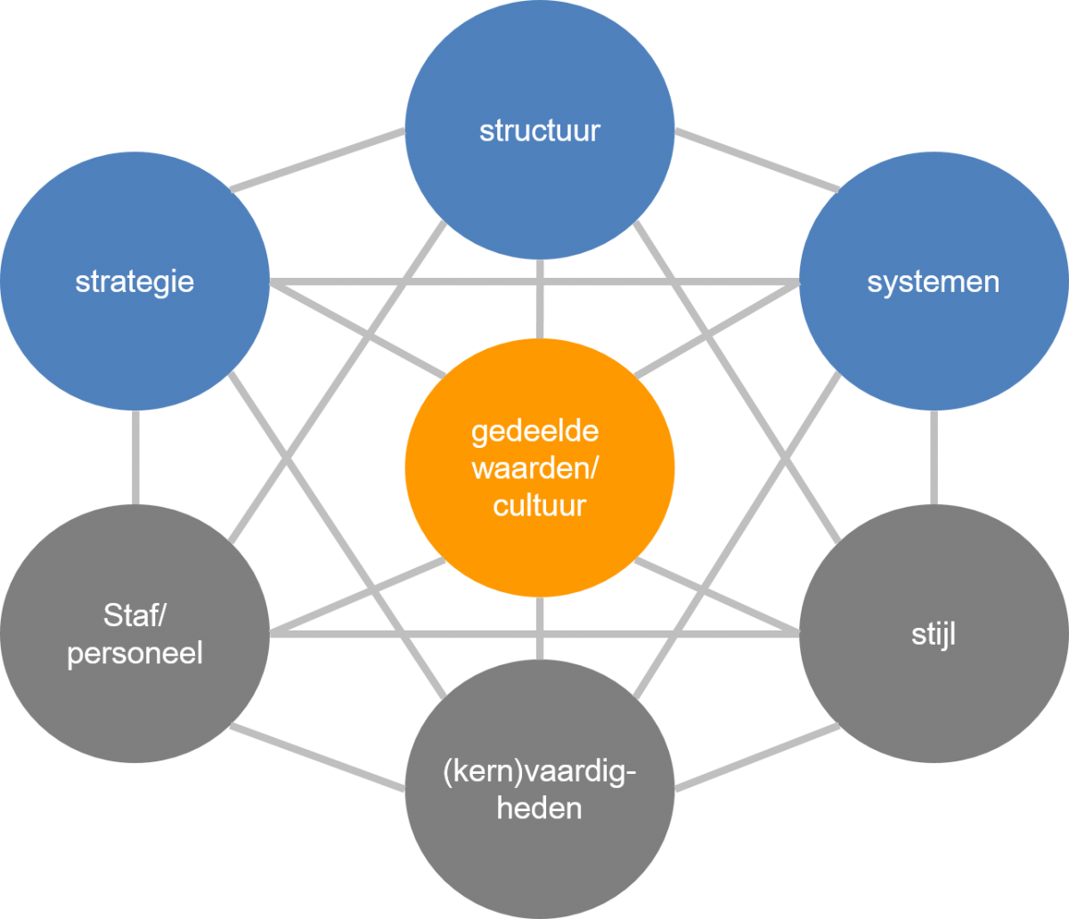 7S Model – Management Basics - Organisatie En Verandering In De Praktijk