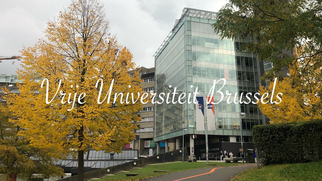 Welke Universiteiten Zijn Er In Nederland