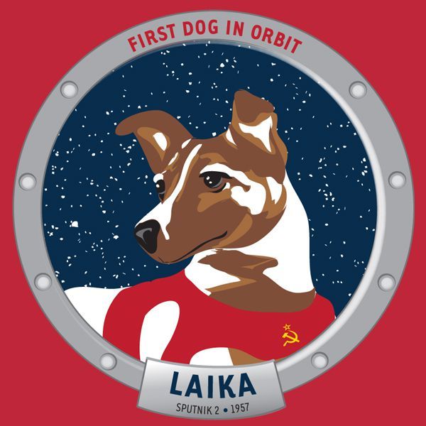 a dog in a red shirt with the words first dog in orbit on it's side - Eerste Hond In De Ruimte Levend Terug