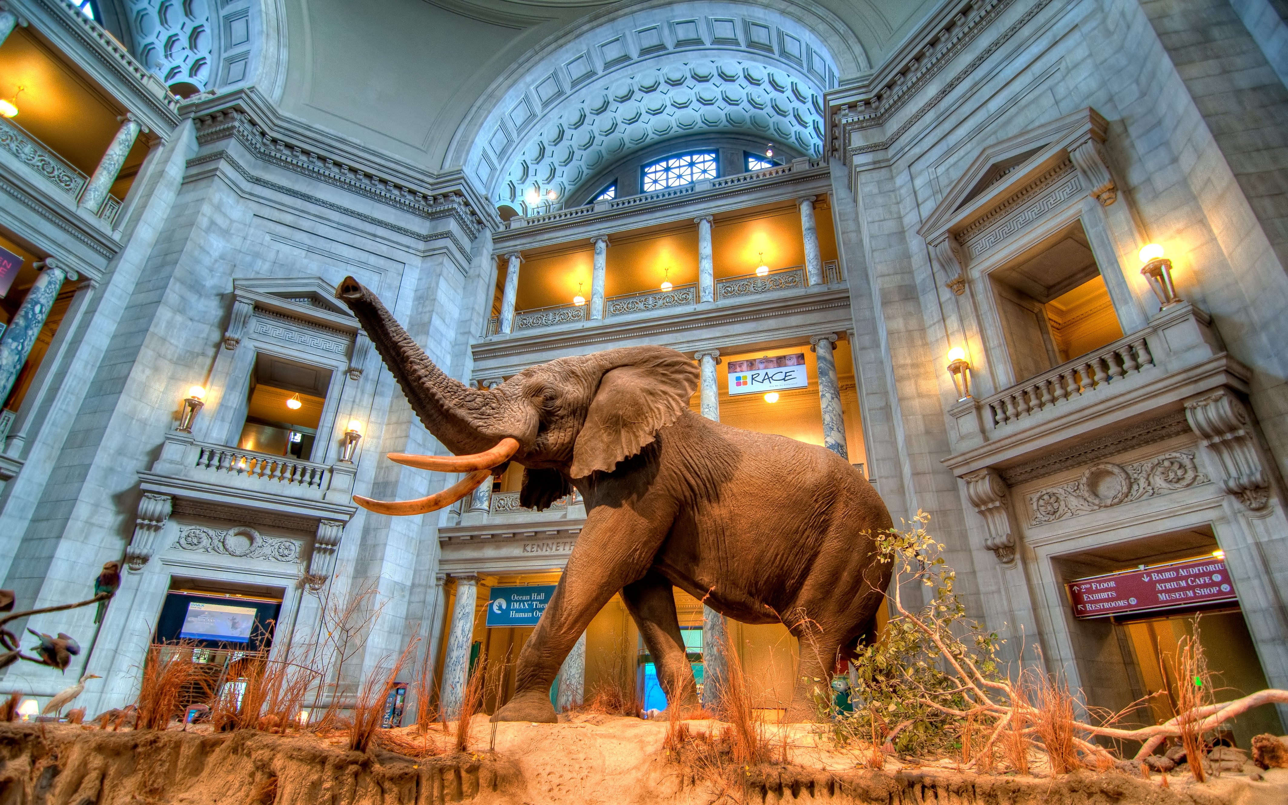 A Photo at the Smithsonian Museum of Natural History - National Museum Of American History Smithsonian