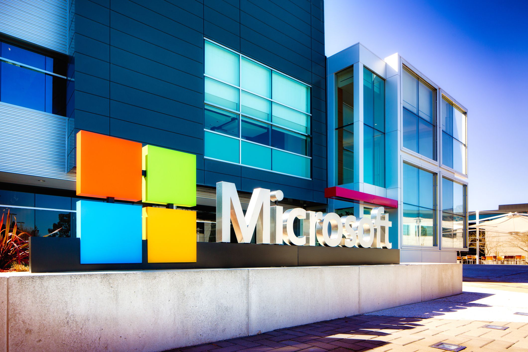 Microsoft Office Specialist Word 2019