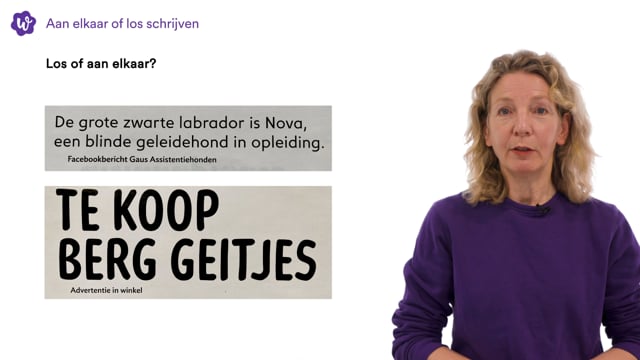 Aan Elkaar Of Los Schrijven