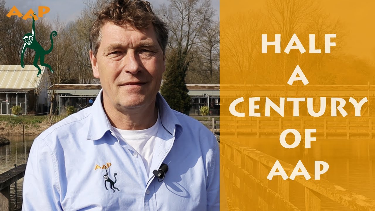 David Van Gennep Salaris