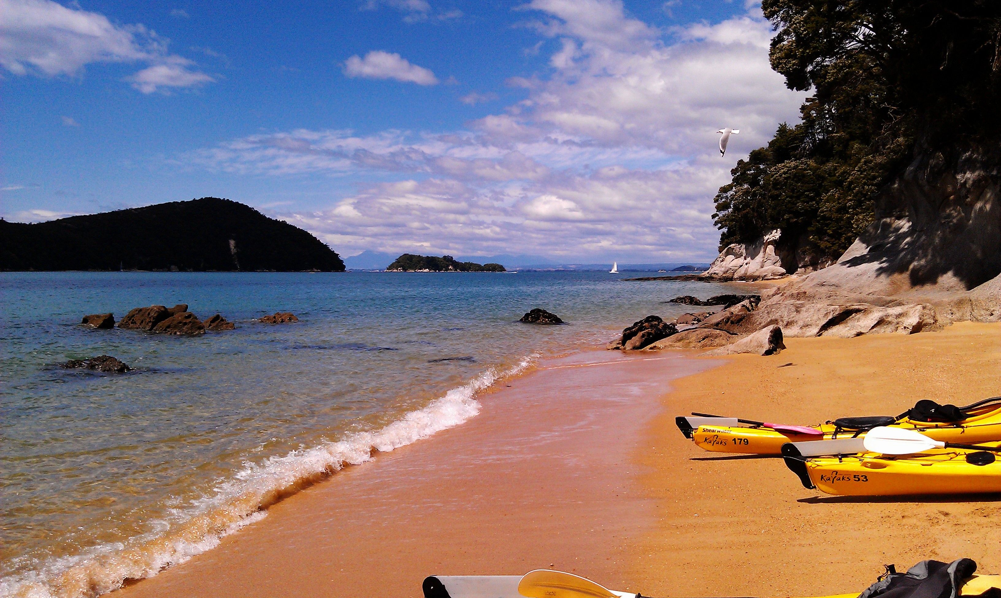 Abel Tasman National Park, New Zealand | Abel tasman national park - Abel Tasman National Park New Zealand
