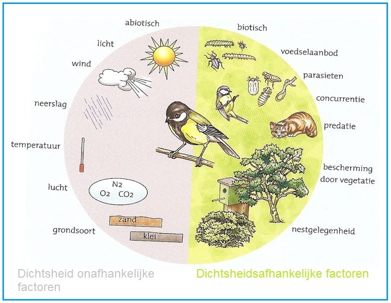 Abiotische factoren en biotische factoren - Biologielessen.nl - Wat Zijn Biotische En Abiotische Factoren
