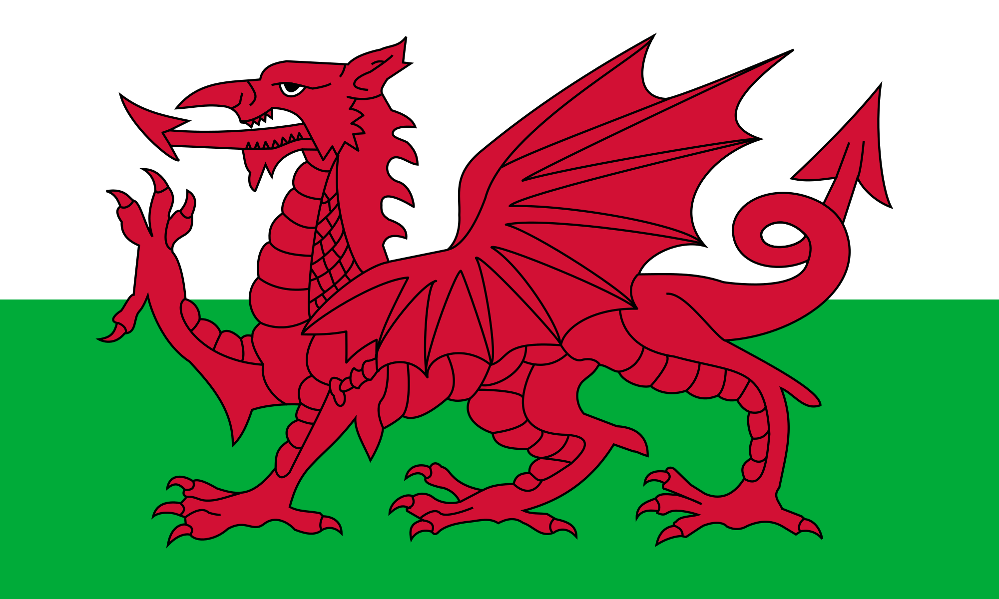 About - Potens - Welsh Voetbalelftal - Turks Voetbalelftal Statistieken