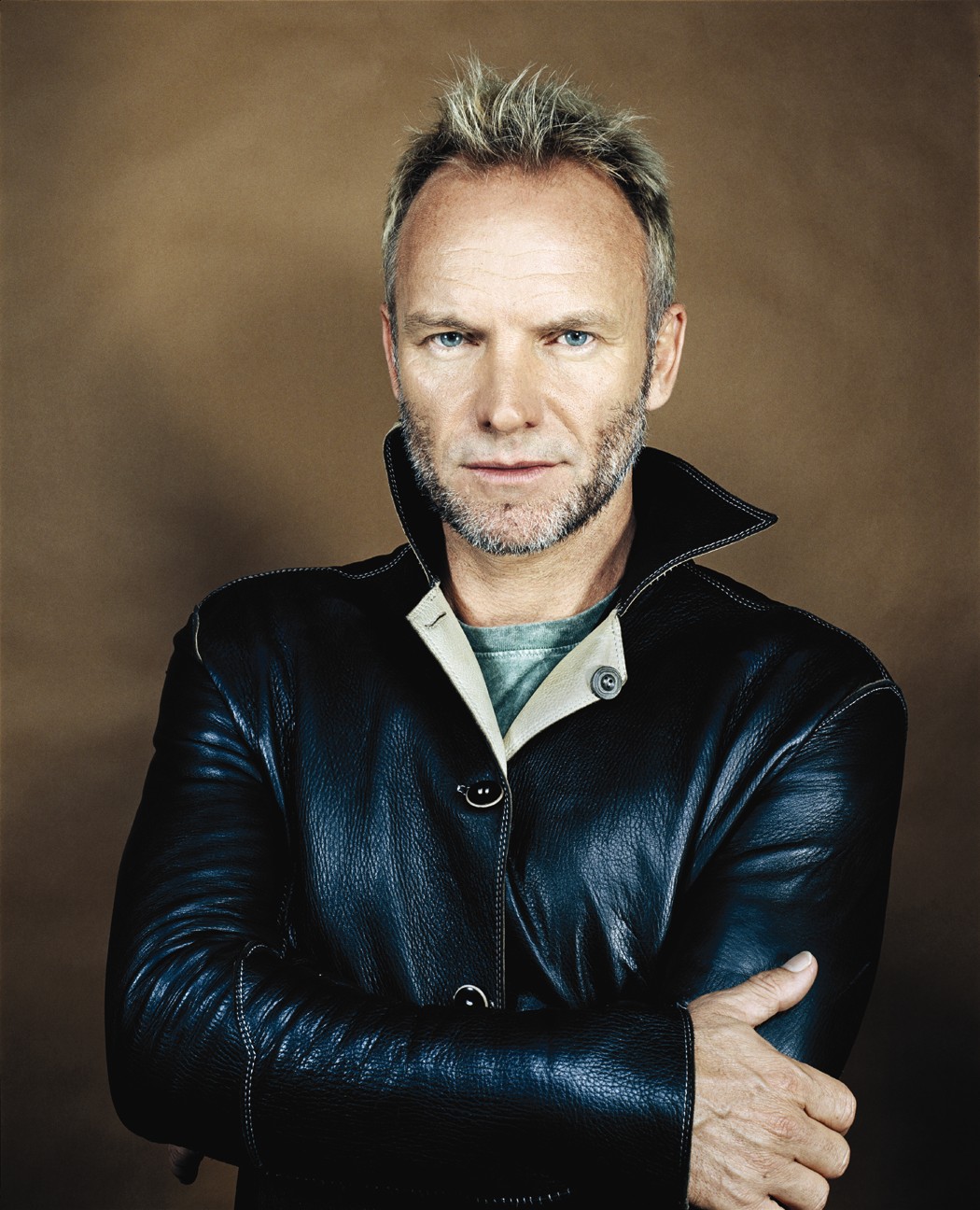 acoustic artists: Sting - Sting I M An Alien