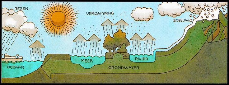 Afbeelding: de kringloop van het water (Nederlands). | Water - Kringloop Van Het Water Werkblad