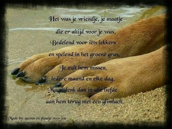 Afbeeldingsresultaat voor afscheid hond | Mandalas - Duitse Spreuken Over Het Leven