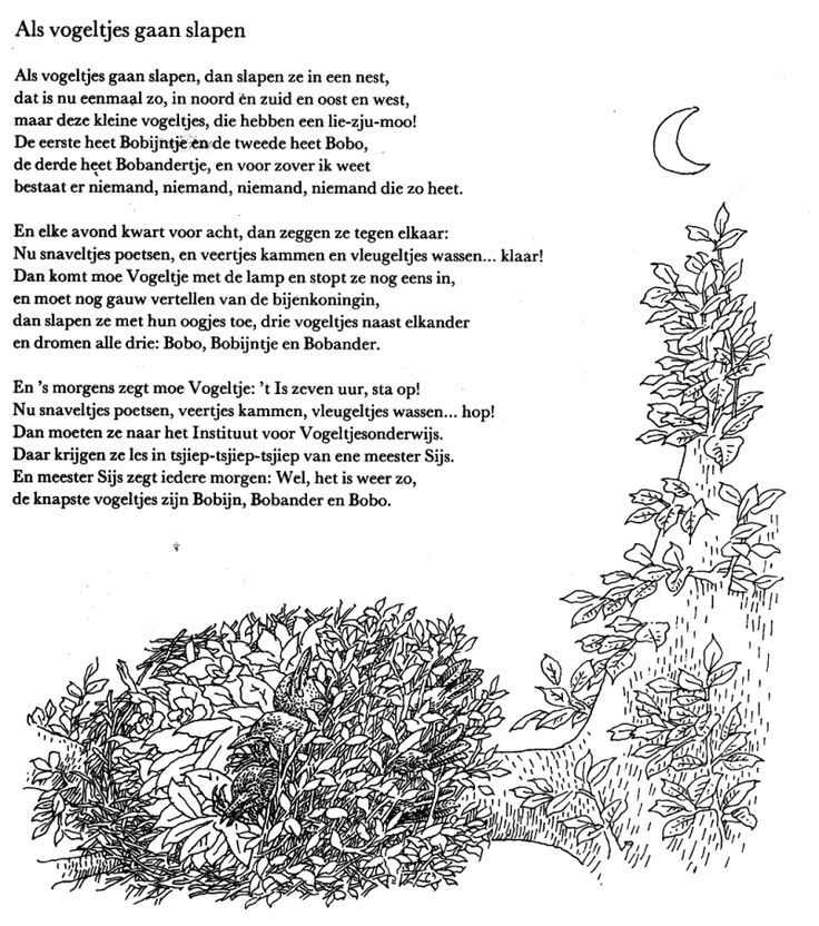 Afbeeldingsresultaat voor annie mg schmidt gedicht | Schmidt, Words - Korte Gedichten Van Annie Mg Schmidt