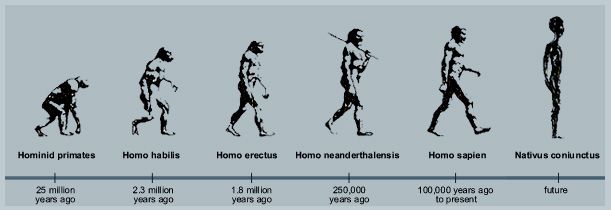 Evolutie Van De Mens In 2 Minuten
