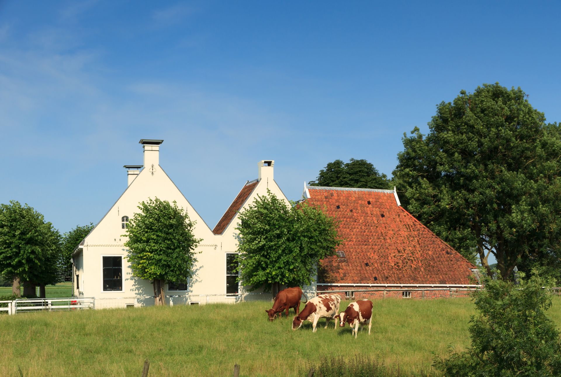 Agrarisch onroerend goed in Noord-Nederland - Boerderij Te Koop In Canada