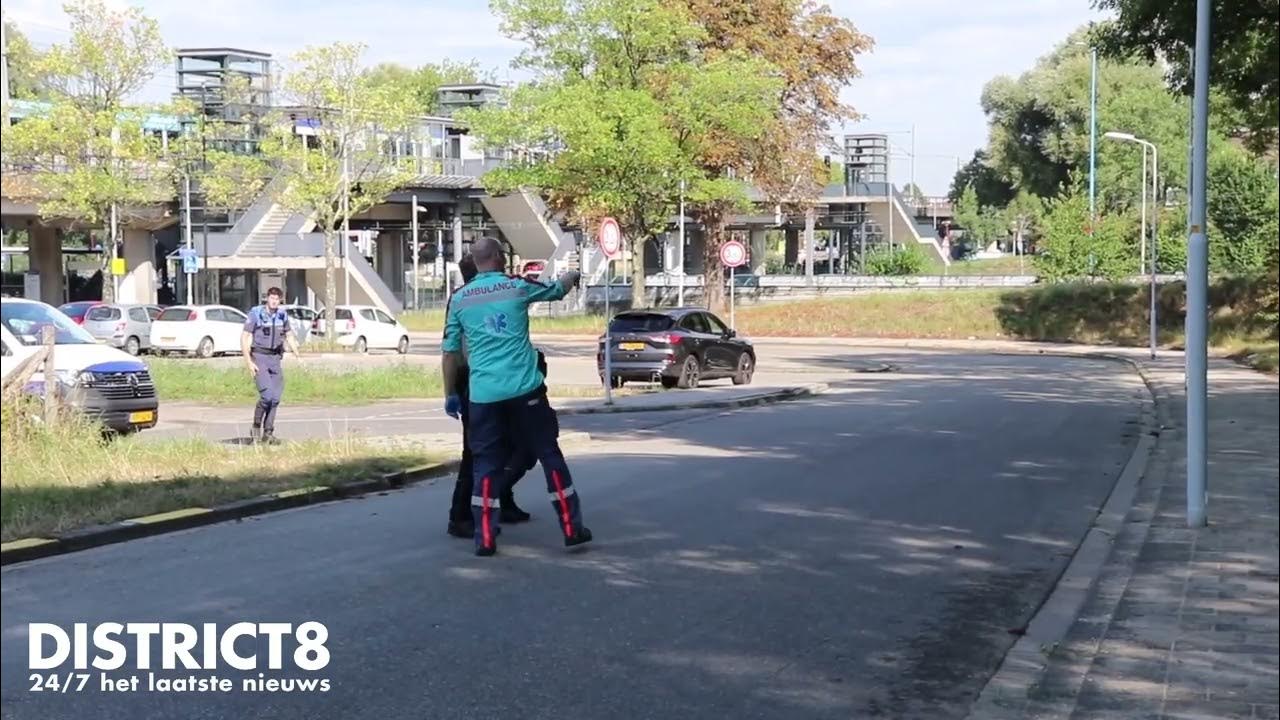 Agressieve wespen steken drie voorbijgangers Ingenieur Veltplein - Gaan Wespen Dood Na Steken